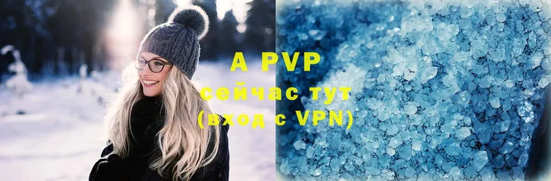 A PVP СК КРИС  Мыски 